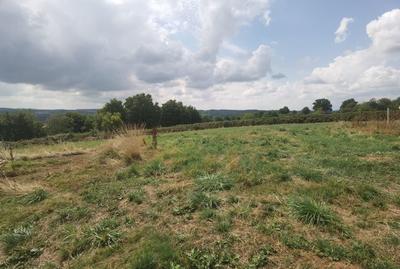 Maison - 166 m² - 8 pièces