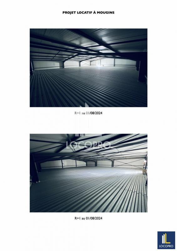 Local d'activité / Entrepôt - 600 m²