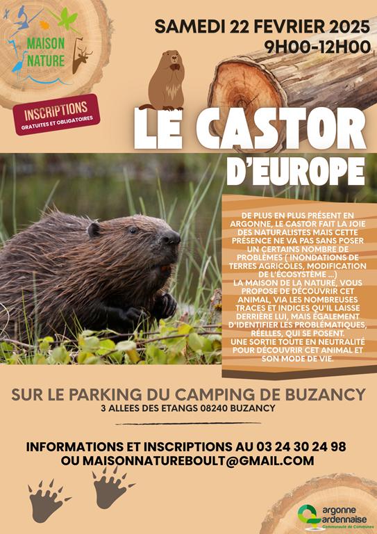 Sortie nature : le Castor d'Europe