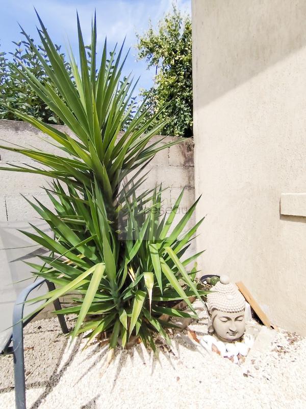 Maison - 90 m² - 3 pièces