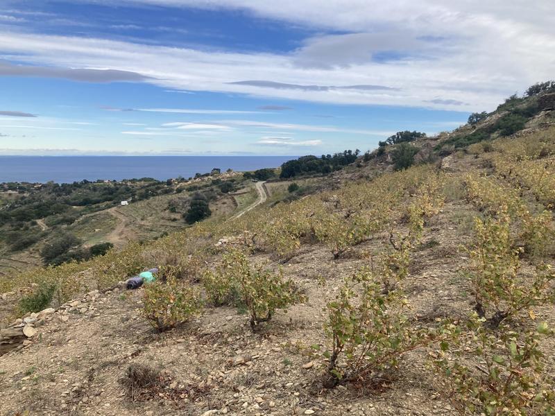 Terrain agricole - 10 846 m²