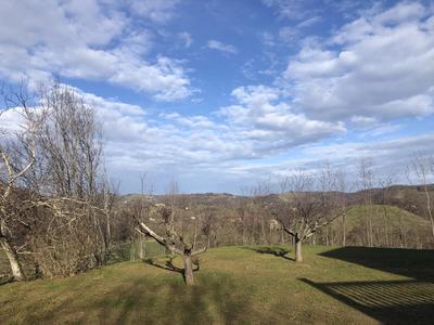 Maison - 205 m² - 7 pièces