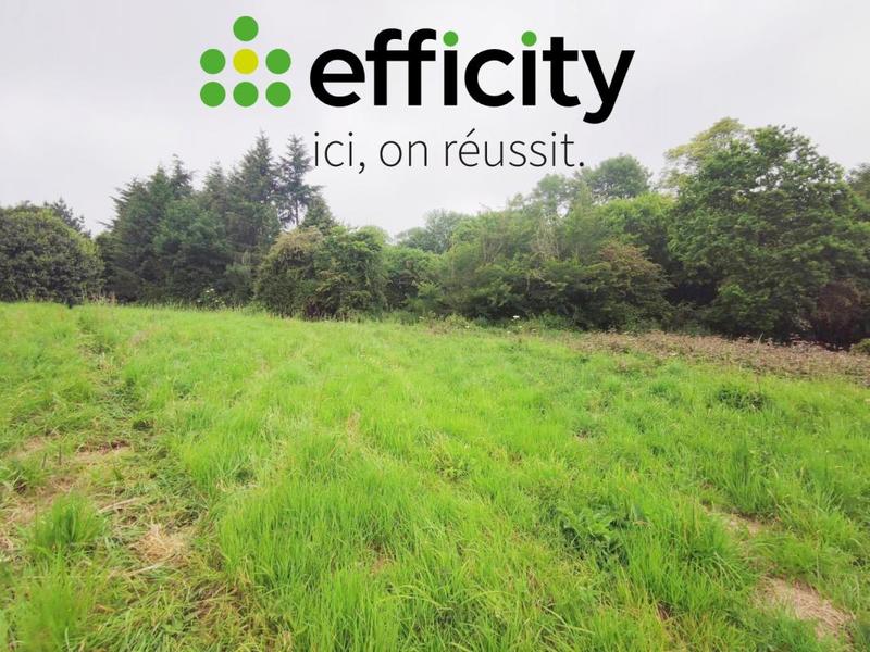 Terrain constructible - 1 000 m²