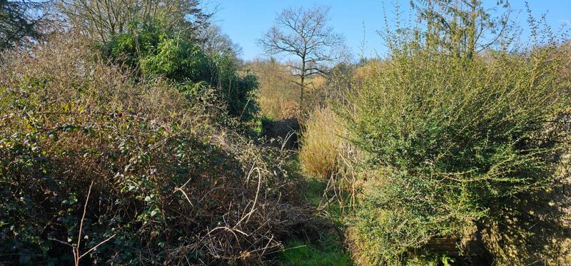 Maison - 47 m² - 3 pièces