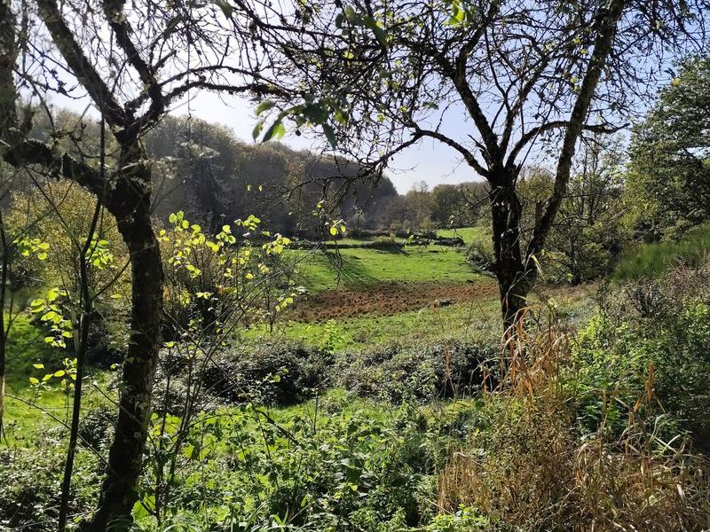 Maison - 250 m² - 9 pièces