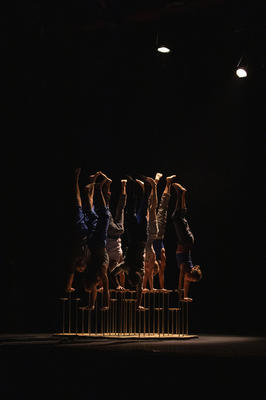 Saison culturelle - le Complexe de l’Autruche - Collectif d’équilibristes