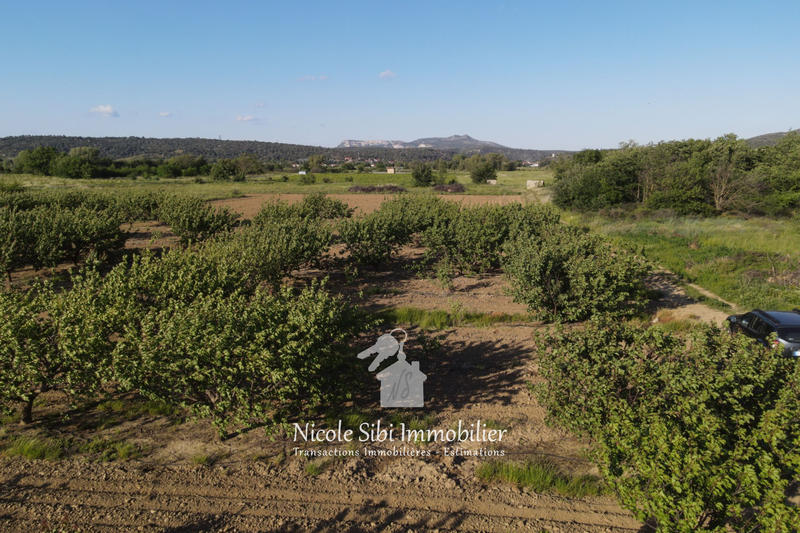 Terrain agricole - 17 525 m²