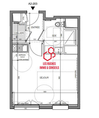 Appartement - 31 m² - 1 pièce