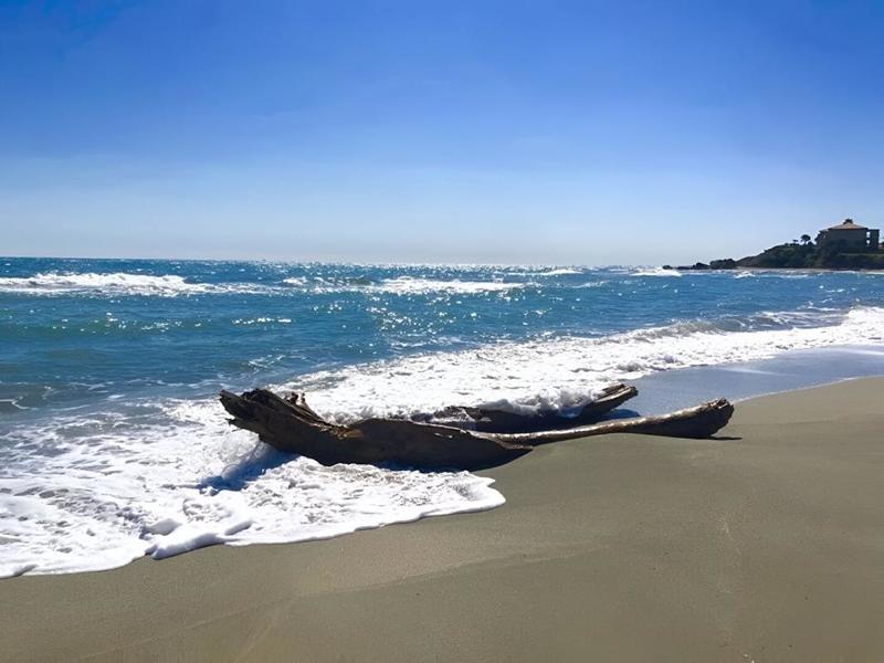 Appartement - 45 m² - 3 pièces