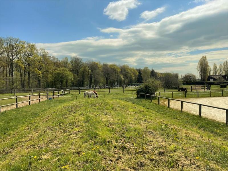 Maison de domaine équestre - 110 m² - 4 pièces