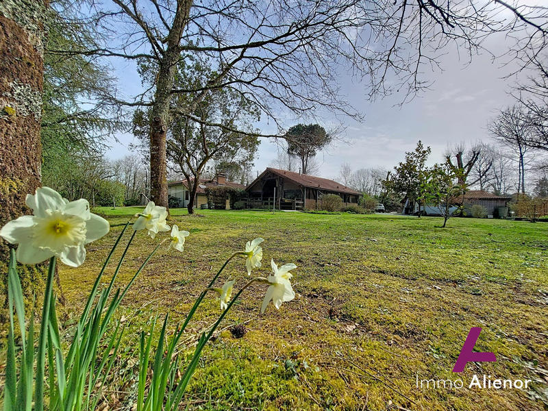 Maison traditionnelle - 145 m² - 11 pièces