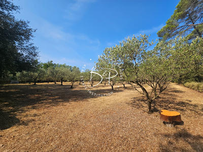 Maison - 32 m² - 2 pièces