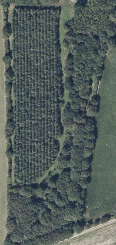 Terrain de loisirs - 44 170 m²