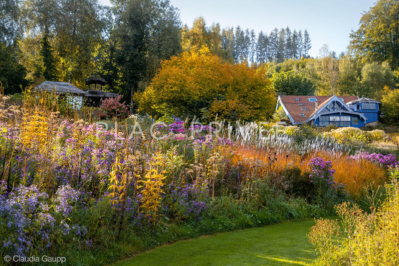 Maison - 300 m² - 11 pièces