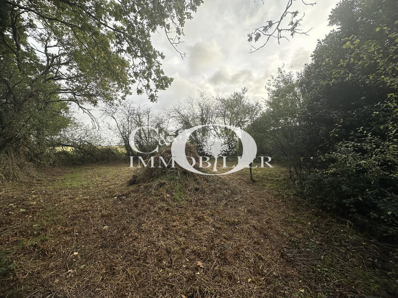 Maison - 72 m² - 2 pièces