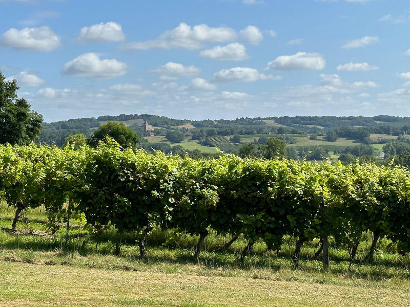 Maison - 180 m² - 8 pièces