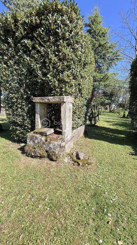 Propriété - 300 m² - 10 pièces