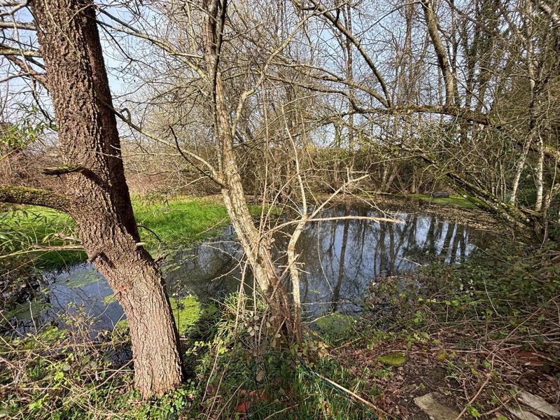 Maison - 130 m² - 4 pièces