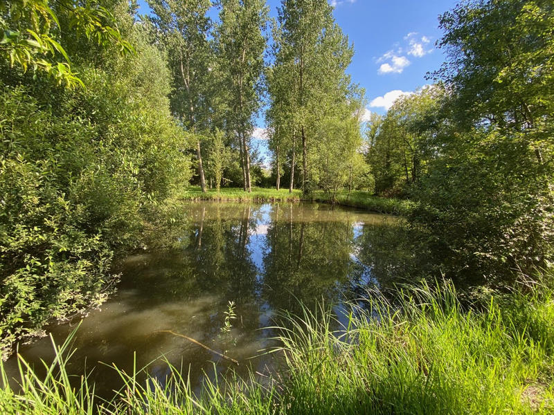 Maison - 218 m² - 7 pièces