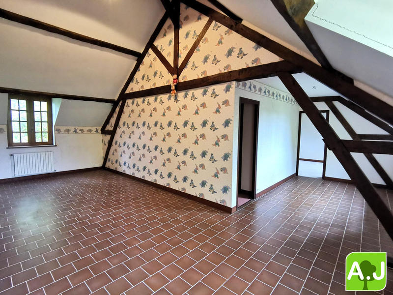 Maison ancienne - 332 m² - 9 pièces