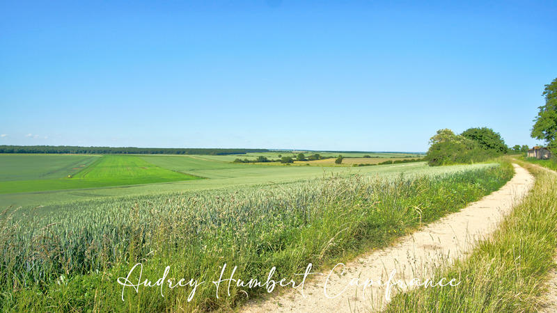 Maison - 167 m² - 6 pièces