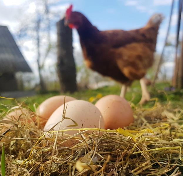 Ferme de Bretonvilliers