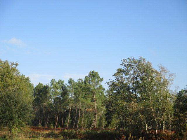 Maison - 141 m² - 6 pièces