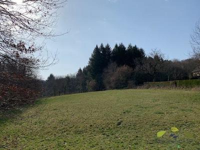 Terrain constructible - 3 961 m²