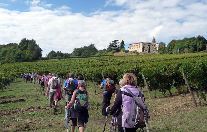 Les 1000 pieds - les 40 km de Podensac