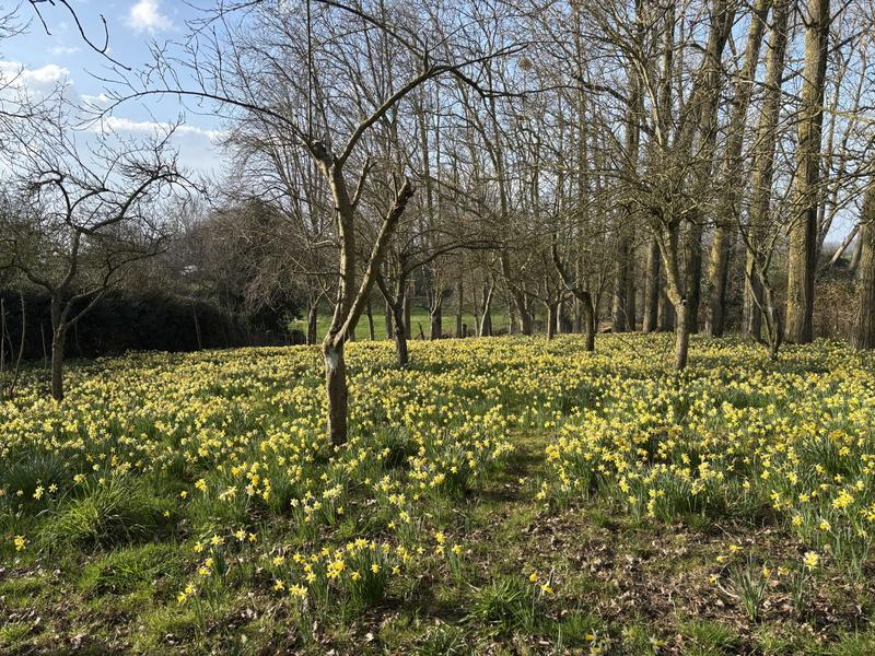 Maison ancienne - 165 m² - 8 pièces