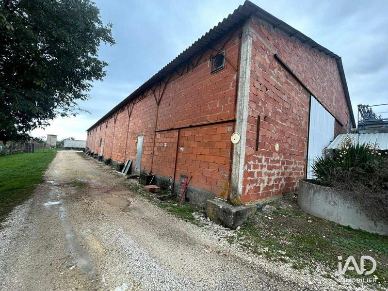 Local commercial - 3 300 m²