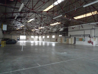 Entrepôt - 3 000 m² - 6 pièces