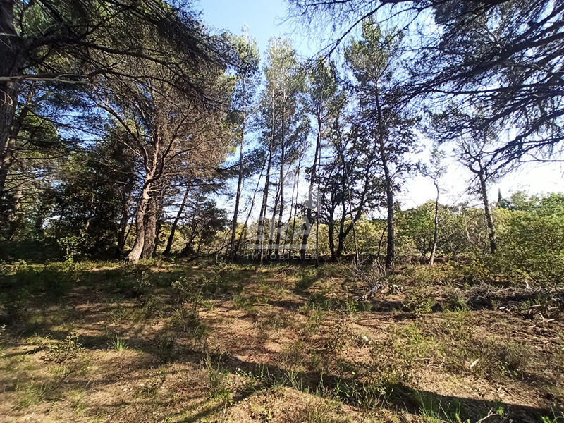 Terrain - 4 060 m²