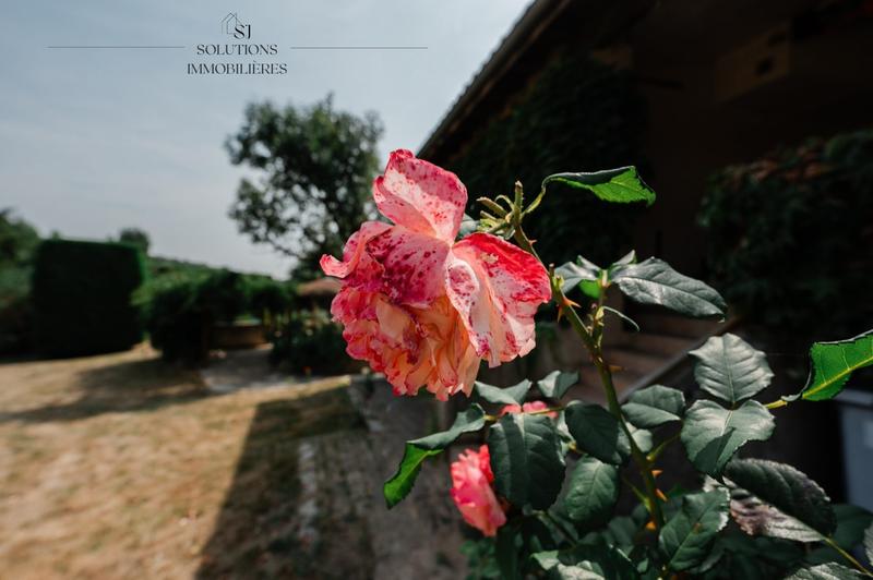 Maison - 194 m² - 7 pièces