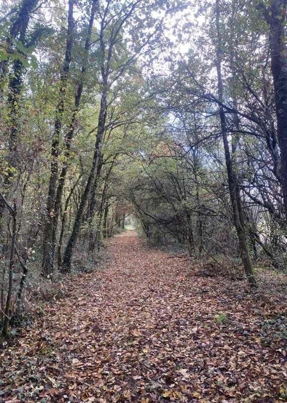 Propriété - 470 m² - 14 pièces