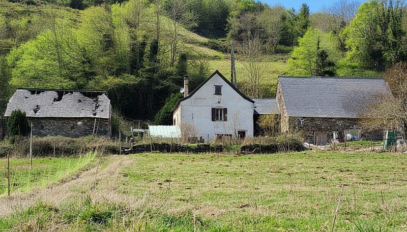 Ferme - 52 m² - 3 pièces