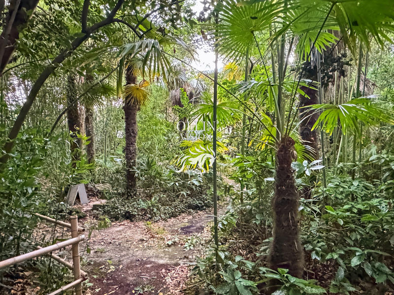 Maison - 300 m² - 10 pièces