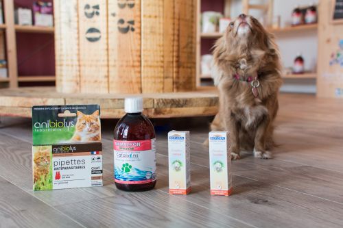 Les secrets de la nature