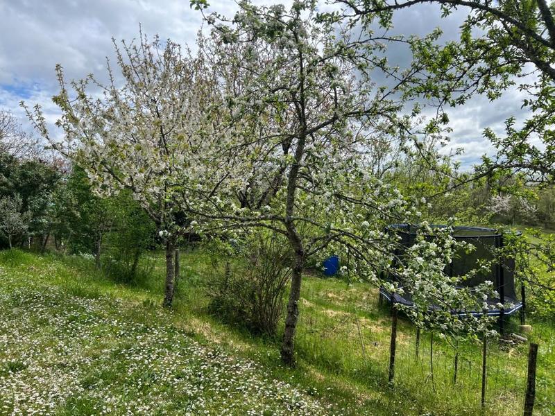 Maison de campagne - 265 m² - 11 pièces