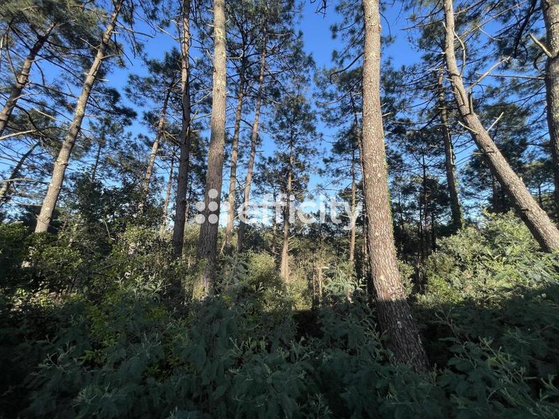 Maison - 31 m² - 2 pièces