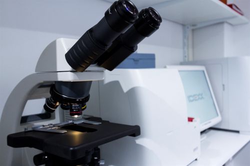 Clinique vétérinaire Vet'16