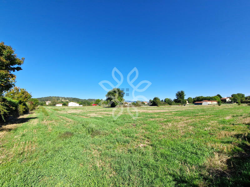 Terrain - 13 541 m²