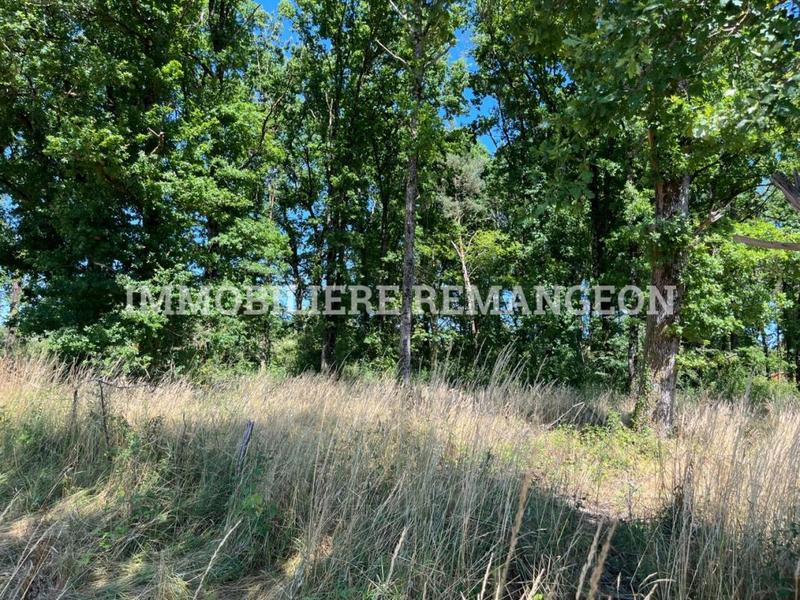 Grange - 40 m² - 1 pièce