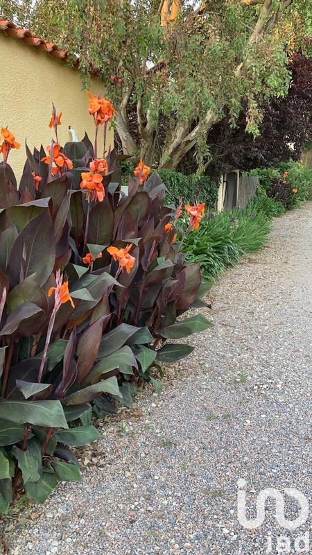 Maison - 405 m² - 17 pièces