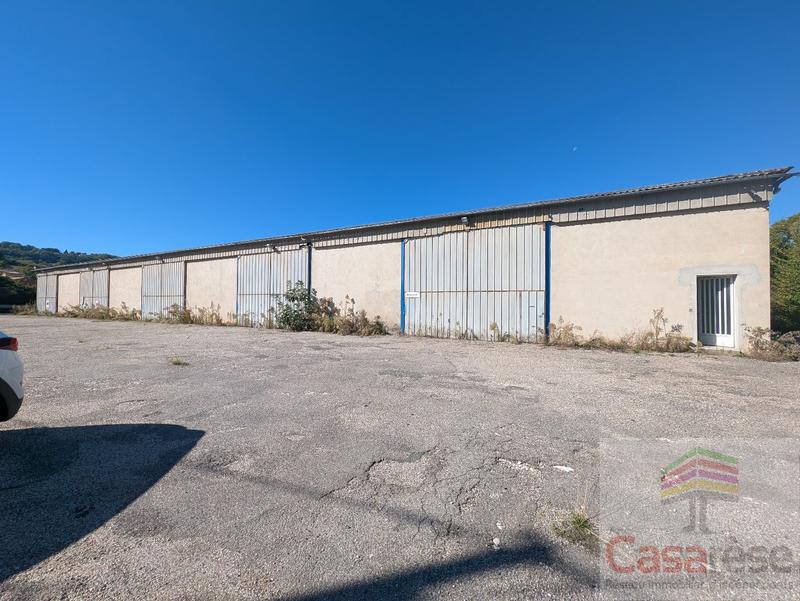 Entrepôt - 1 200 m² - 8 pièces