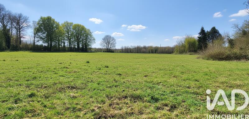 Terrain - 13 127 m²