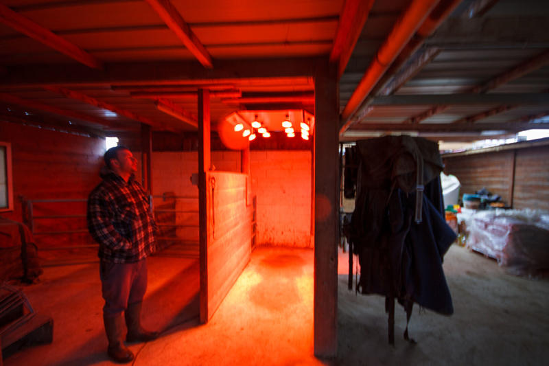 Maison de domaine équestre - 132 m² - 5 pièces