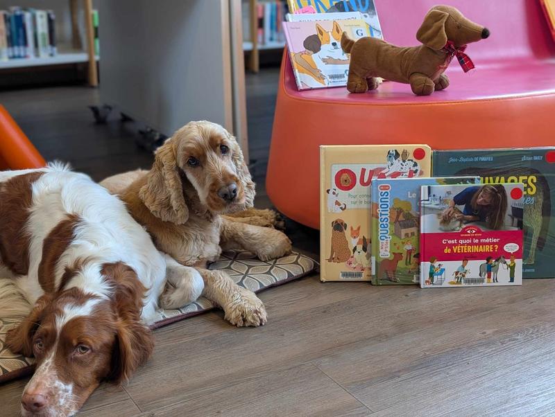 Lire avec les chiens