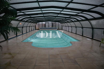 Terrain - 11 963 m²