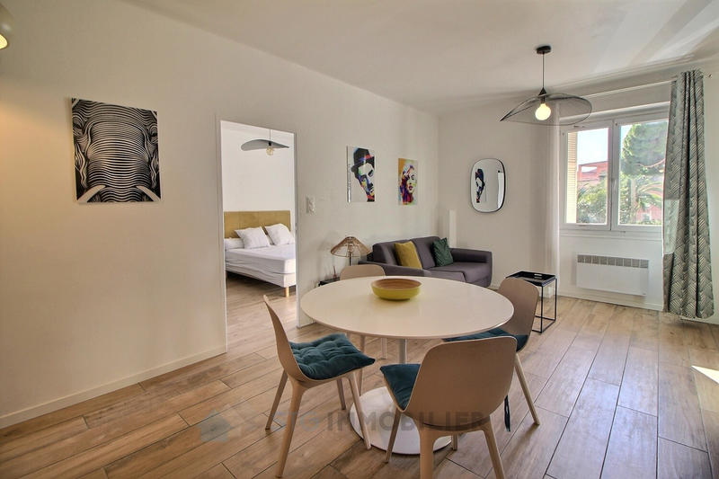 Appartement - 44 m² - 2 pièces